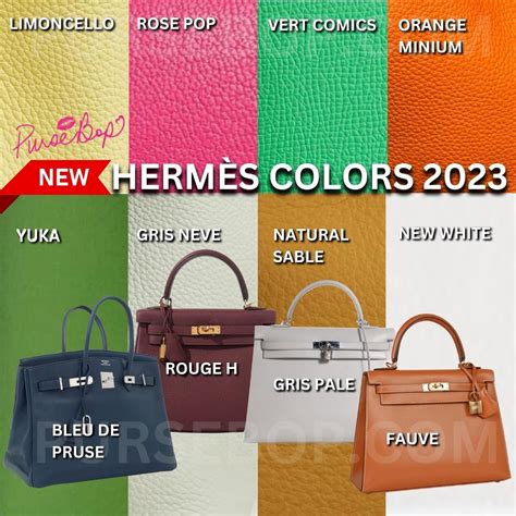 picnic hermes bag|hermes bag birkin colors.